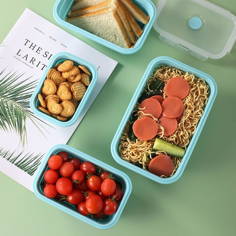 FoldFresh Silicone Bento Box